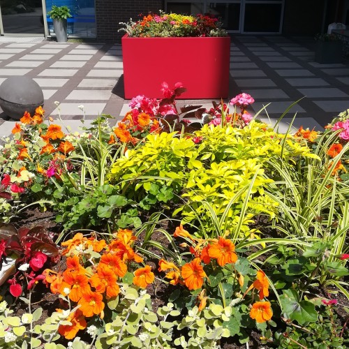 Rondje tuin Duivenvoorde